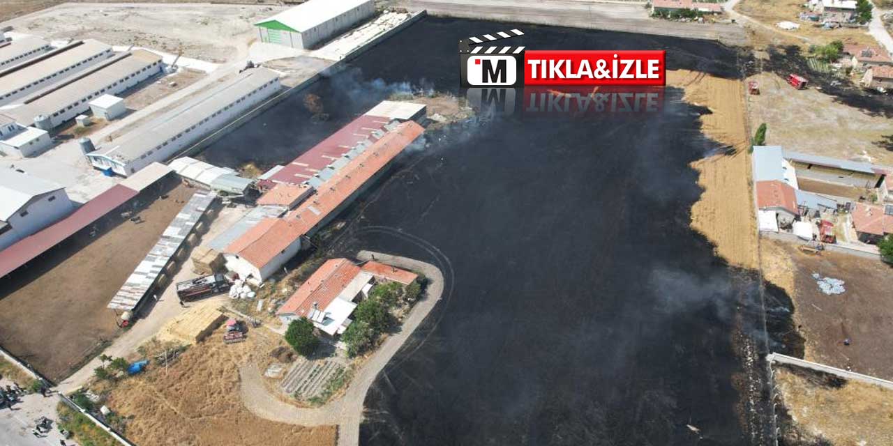 Konya'da Korkutan Tarla Yangını: Alevler Yerleşim Yerlerine Ulaşmadan Söndürüldü