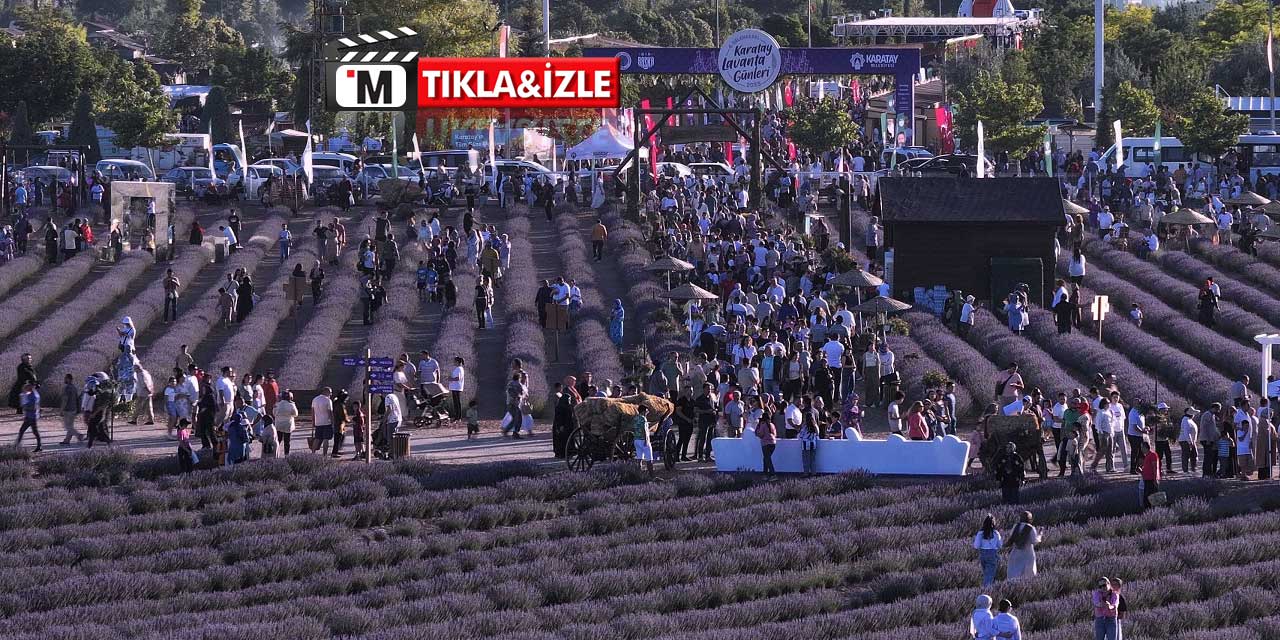 Karatay Lavanta Günleri'ne Ücretsiz Ulaşım: İşte Servis Saatleri