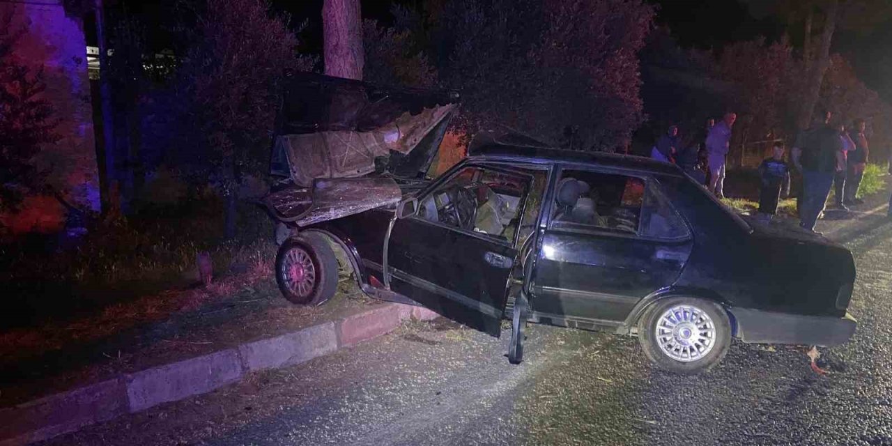 Sokak köpeğinden kaçmak isterken ağaca çarptı