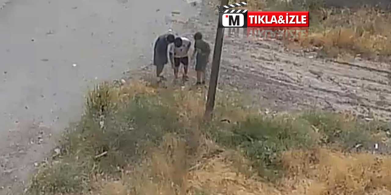 Çocukların Maytap Keyfi Yangınla Sonuçlandı