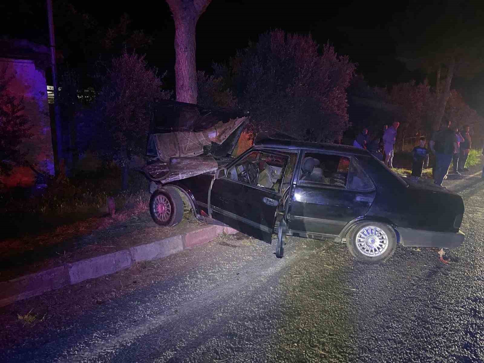Köpeğe çarpmamak için canını verdi