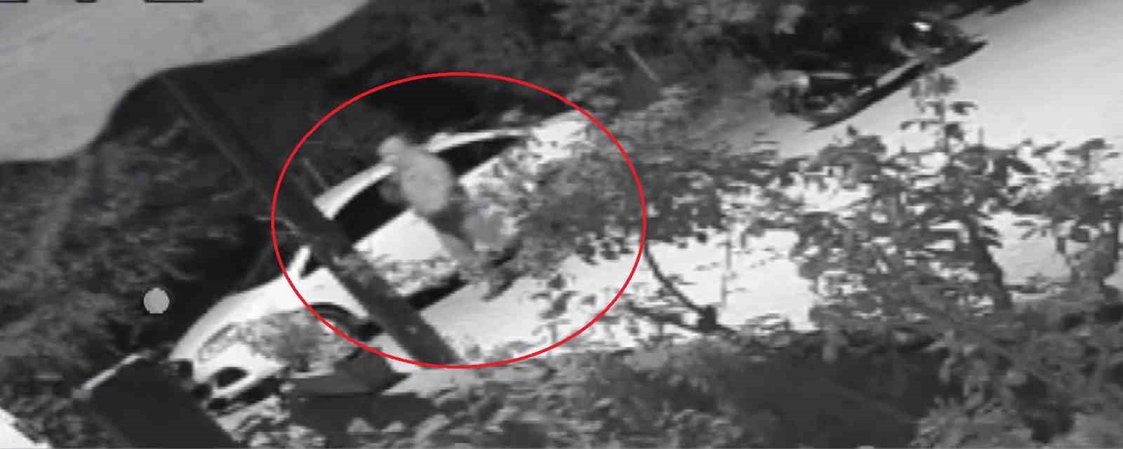 İznik’te Gece Yarısı Kundaklama: Otomobil Alevlere Teslim Oldu