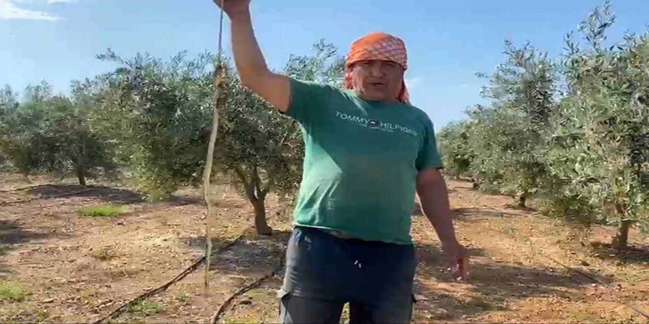 ’Yılanı öldürdüm’ diyerek çektirdiği video pahalıya mal oldu