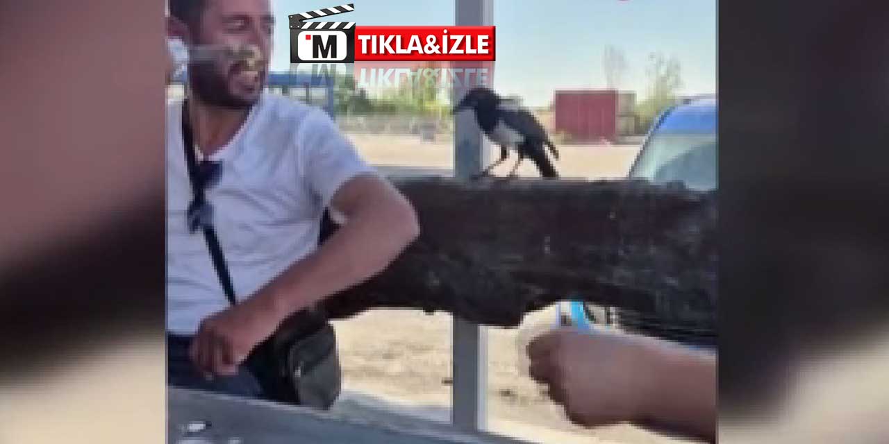 Ankara'da 'Tüylü' Soygun: Şüpheli Olay Yerinden Uçarak Uzaklaştı"