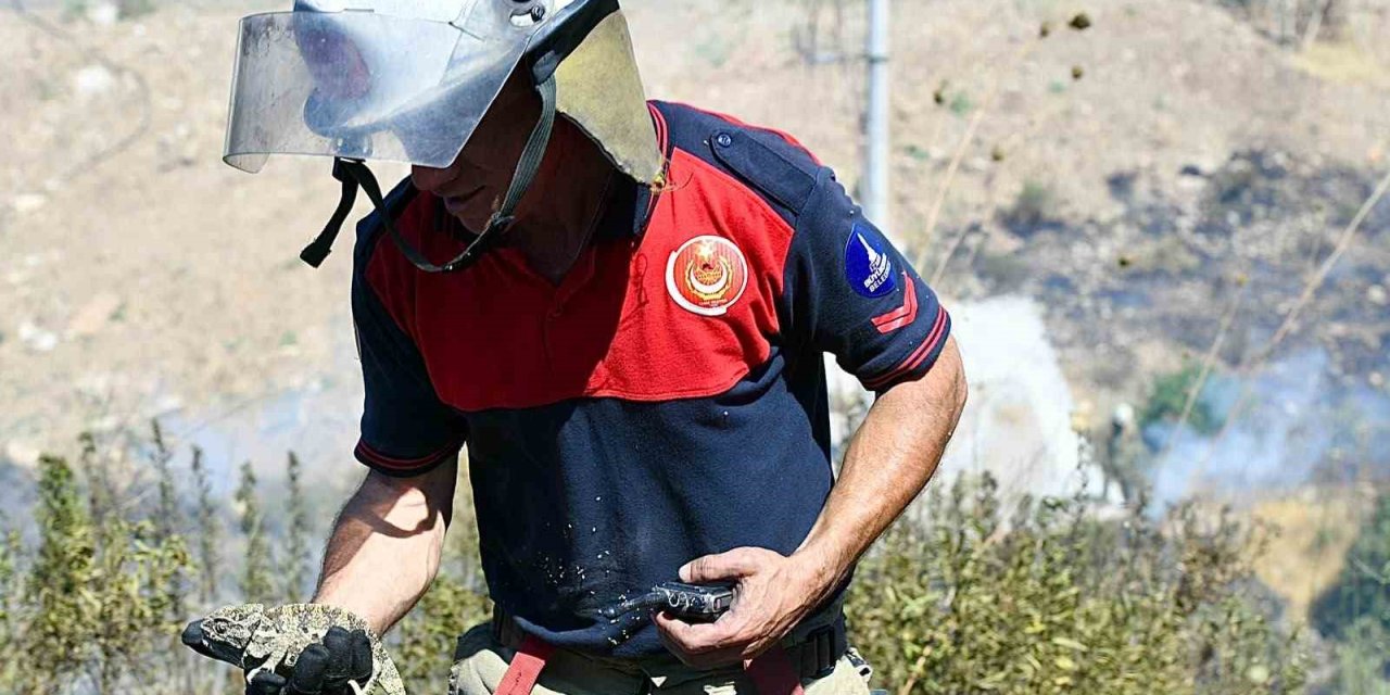 İtfaiye ekipleri bukalemunu hayata döndürdü