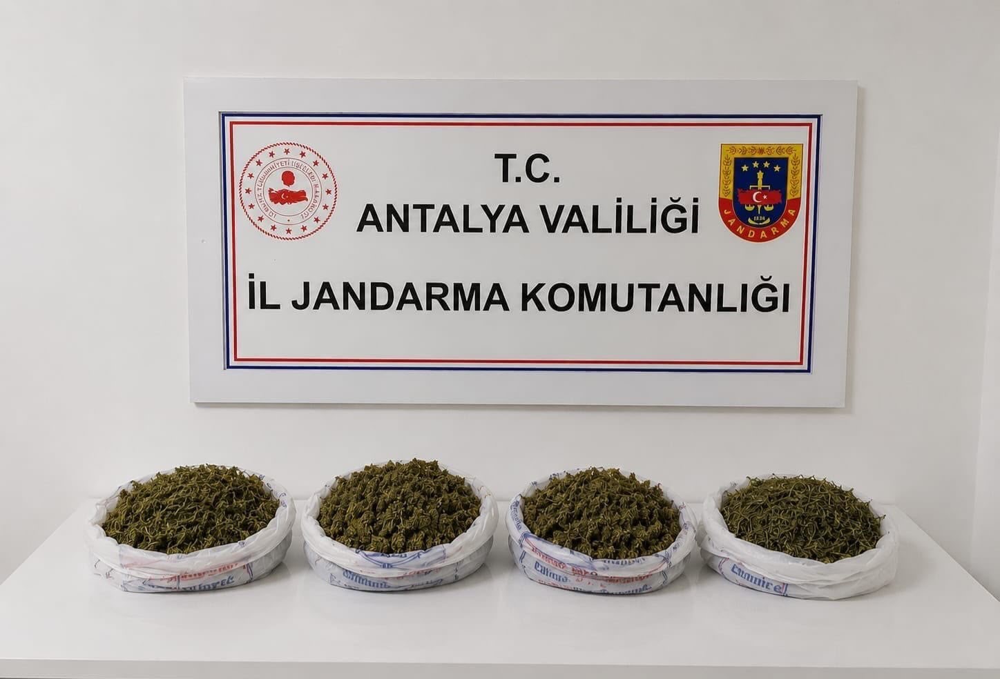Alanya'da evde yapılan aramada 1 kilo 979 gram kubar esrar ele geçirildi