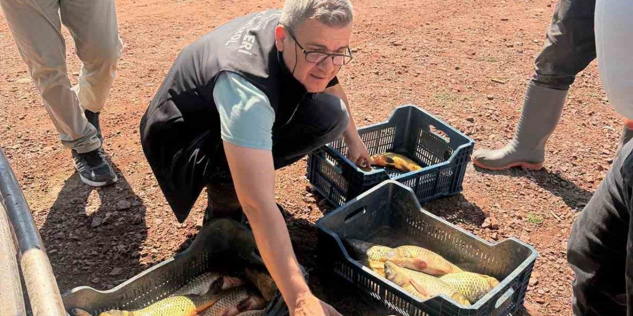 Beyşehir Gölü’nde Sıkı Denetim: Yasal Boy Sınırına Geçit Yok