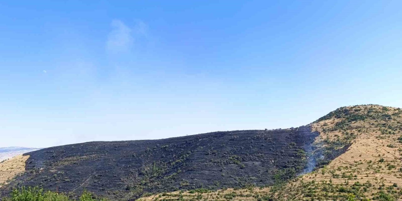 Afyon’da çıkan yangında 150 hektarlık alan zarar gördü