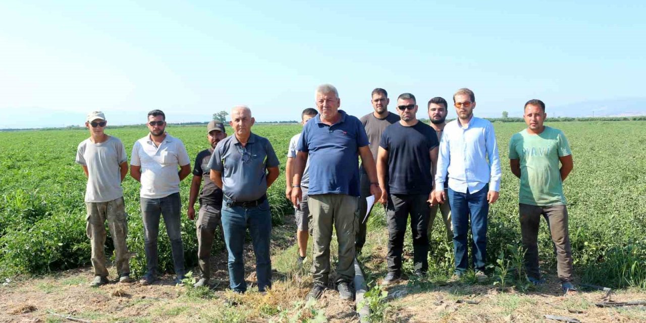 Manyas Gölü’nden gelen ilaçlı su sorununa üretici çözüm bekliyor