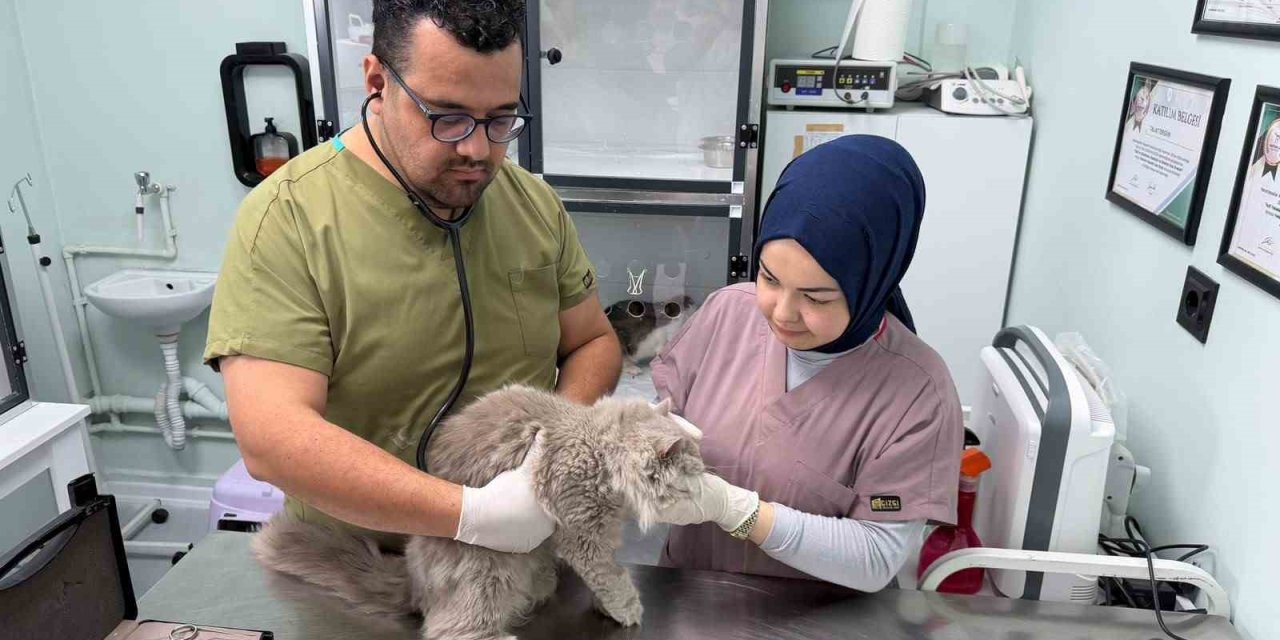 Veterinerde deprem etkisi yapan kedi Türkiye’nin gündeminde