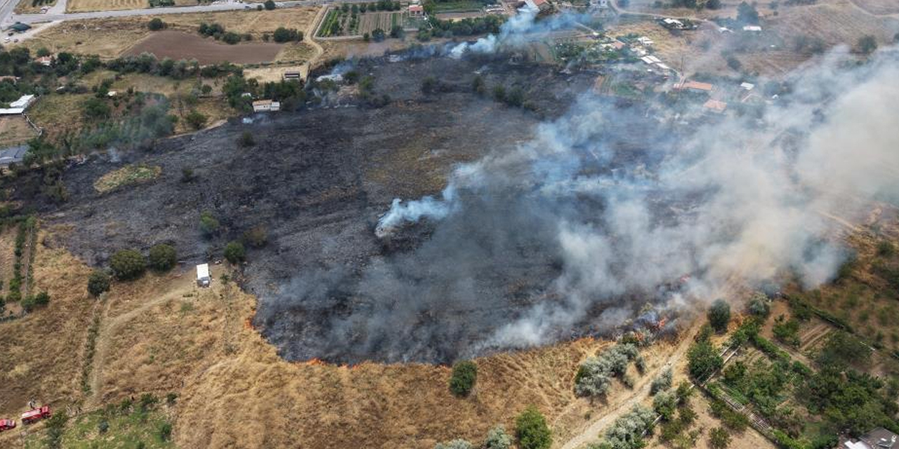 Uzmanlardan Anız Yangını Uyarısı: Toprağı da Ekosistemi de Yok Ediyor