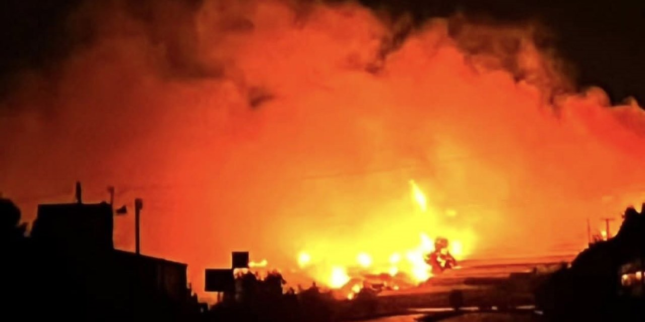 Alanya'da Orman ve Muz Seraları Kül Oldu