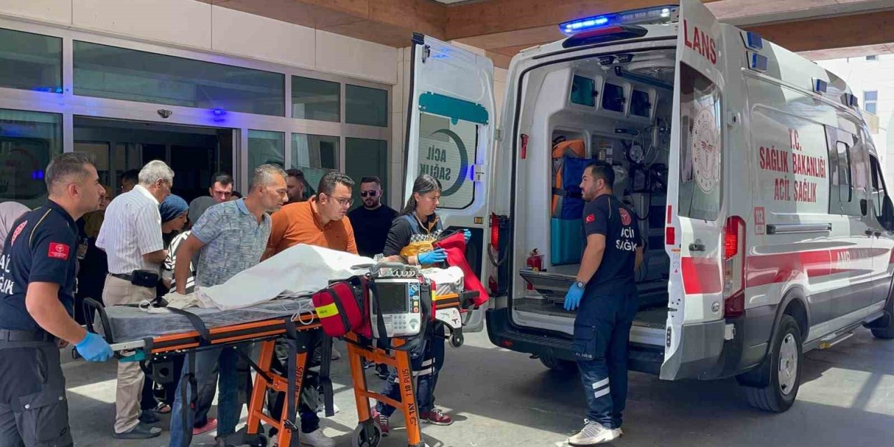 Yine Sokak Köpeği Dehşet Saçtı: 3 Yaşındaki Çocuk Ağır Yaralı