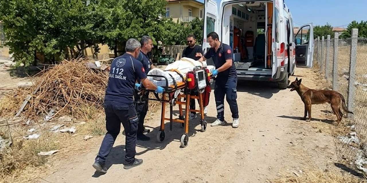 3 yaşındaki çocuğu ağır yaralayan köpeğin sahibi tutuklandı