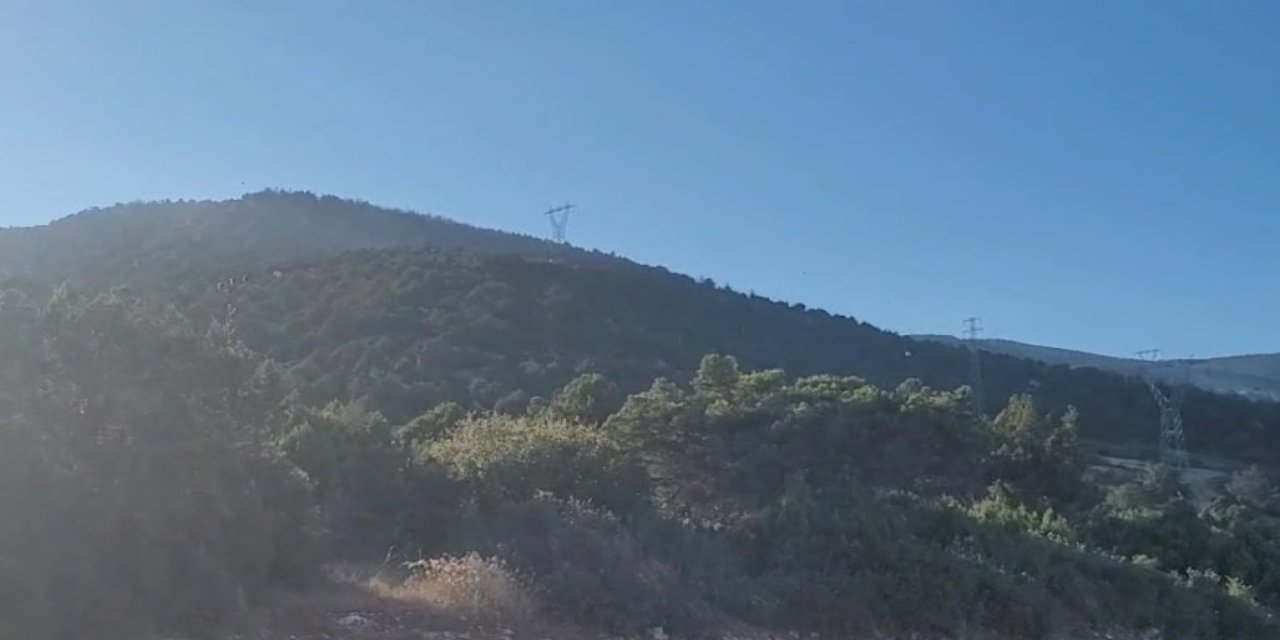 Eğirdir’deki orman yangınında 10 hektar alan zarar gördü