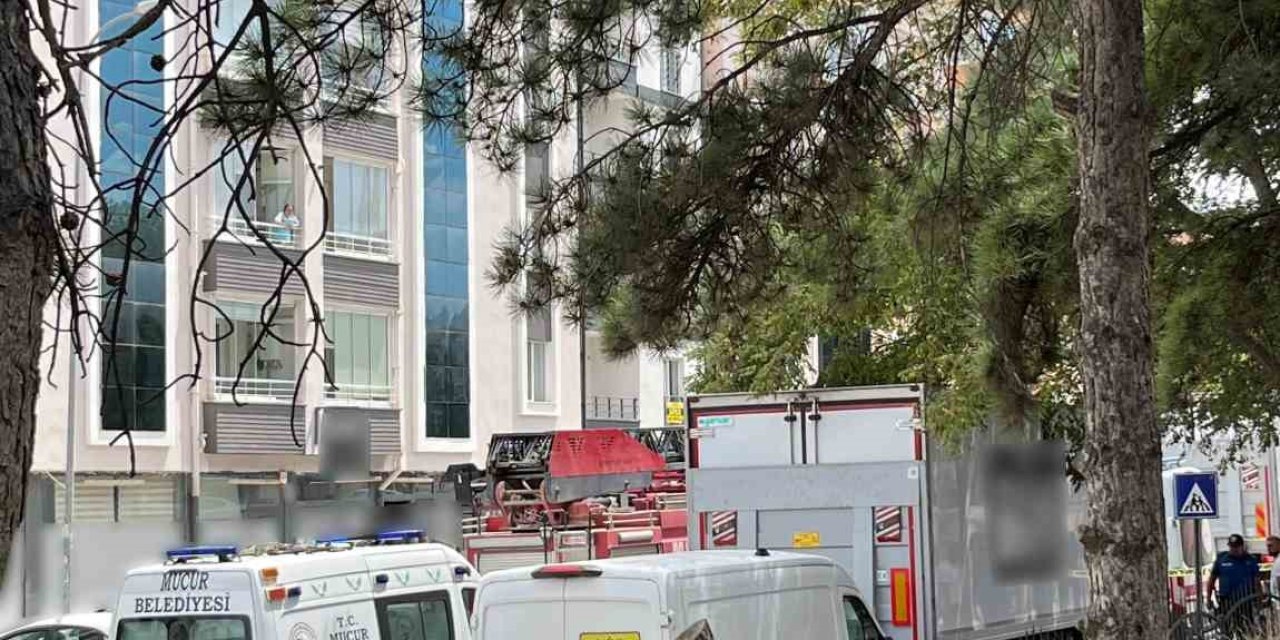 Kamyon dorsesi altında kalan market çalışanı hayatını kaybetti