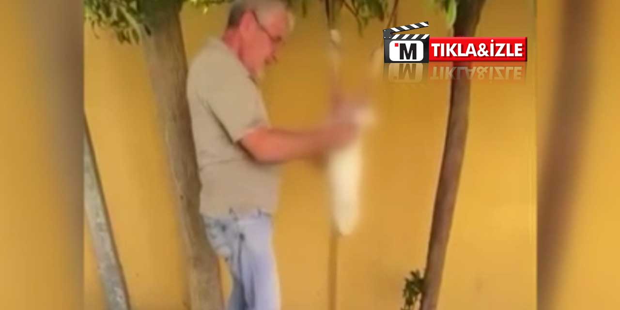 Sosyal Medyadaki Görüntüler İnfial Yarattı: Tavşanı Öldürüp Derisini Yüzmüştü