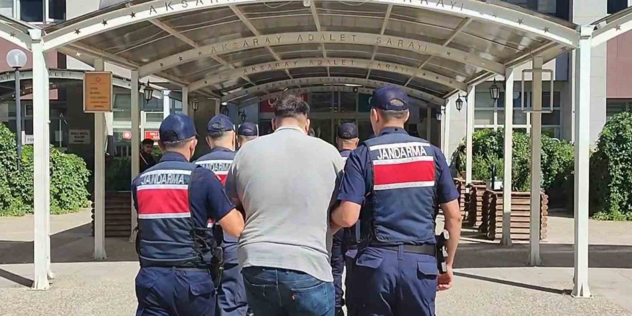 Köpekleri dövüştürüp sosyal medyada paylaştılar, jandarma ekiplerince yakalandılar