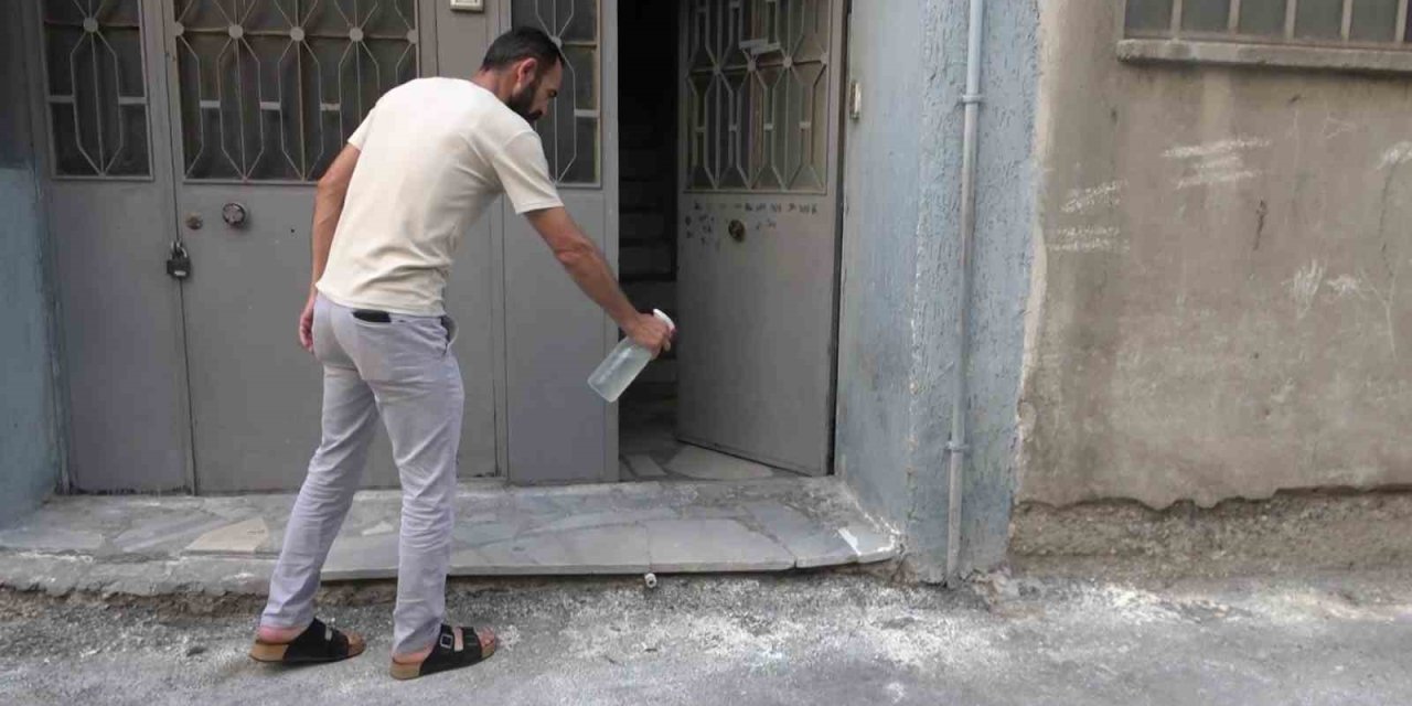 Korkunç İddia: Metruk Bina Pire Yuvasına Dönüştü, Mahalleli Isyan Etti!