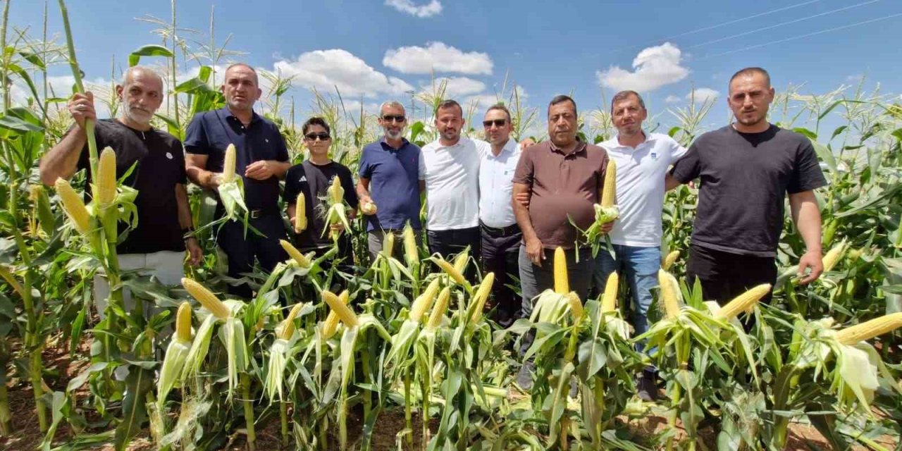 Yerli Tohum Devinden Karaman’da Gövde Gösterisi