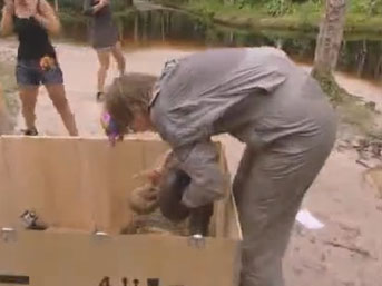 Anakonda böyle saldırdı! VİDEO