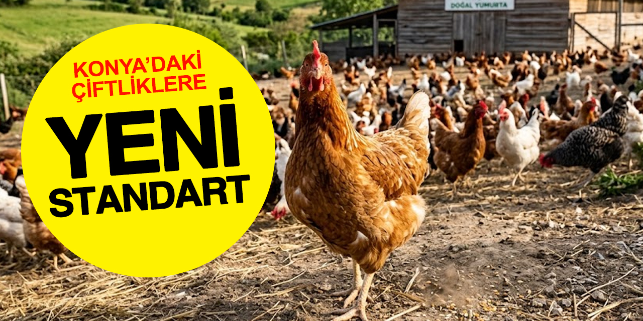 Konya’da çiftliklere yeni standart: Ekipler sahaya iniyor