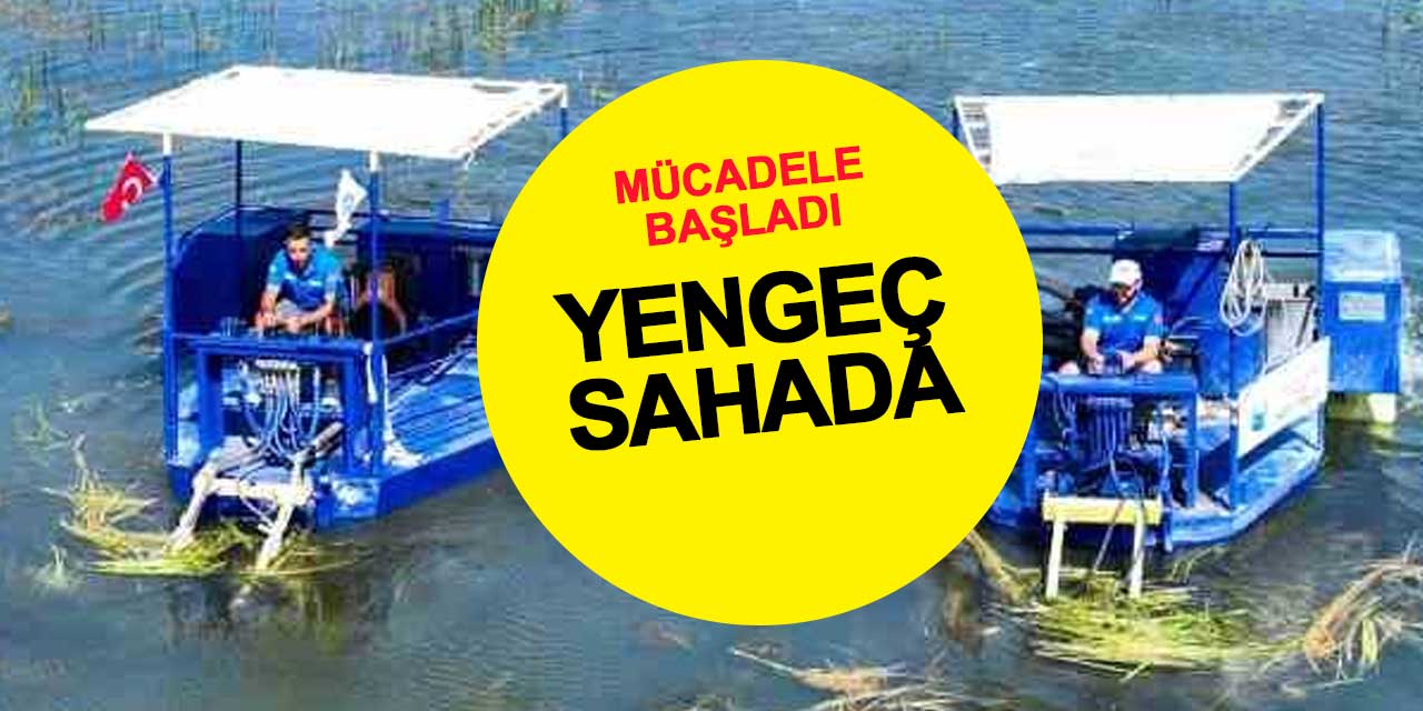 Antalya'da mücadele yengeçle yapılıyor