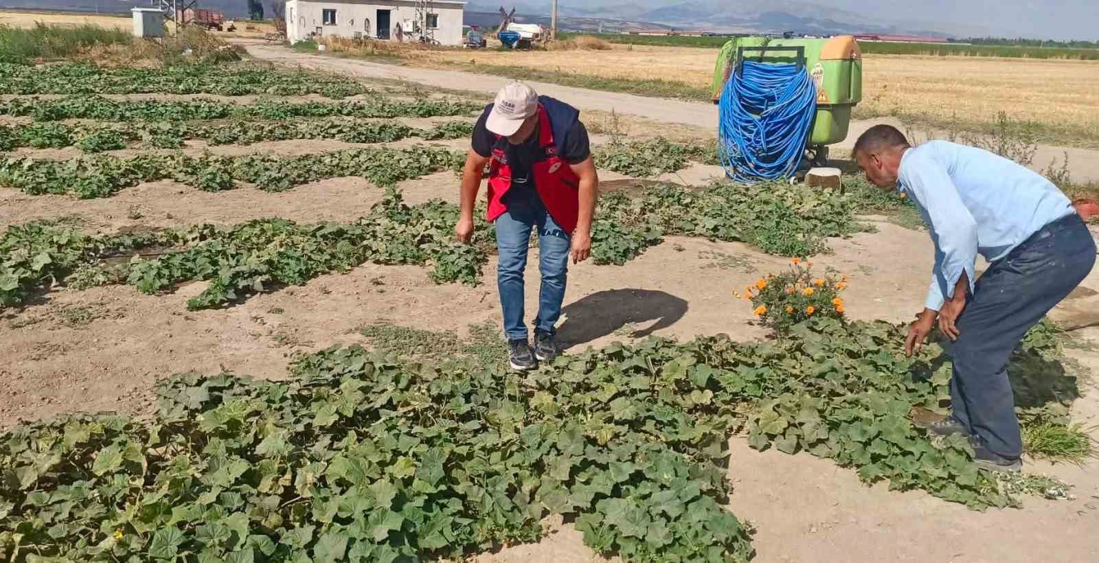 Afyonkarahisar ne olacağını bilmiyor
