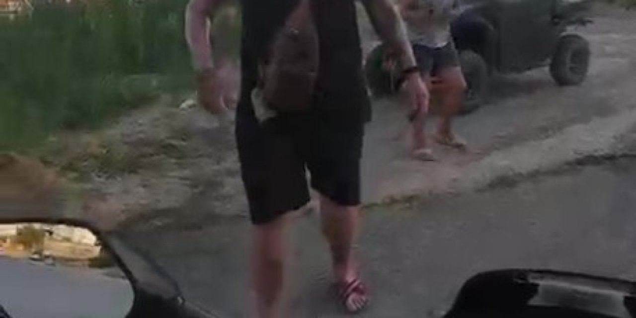 Yavru Köpeğin Başını Taşla Ezdiği İddia Edilen Turist Serbest Bırakıldı