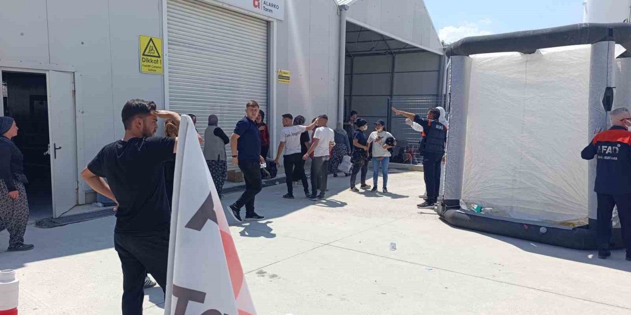 Domates serasında zehirlenenlerin sayısı 33’e yükseldi