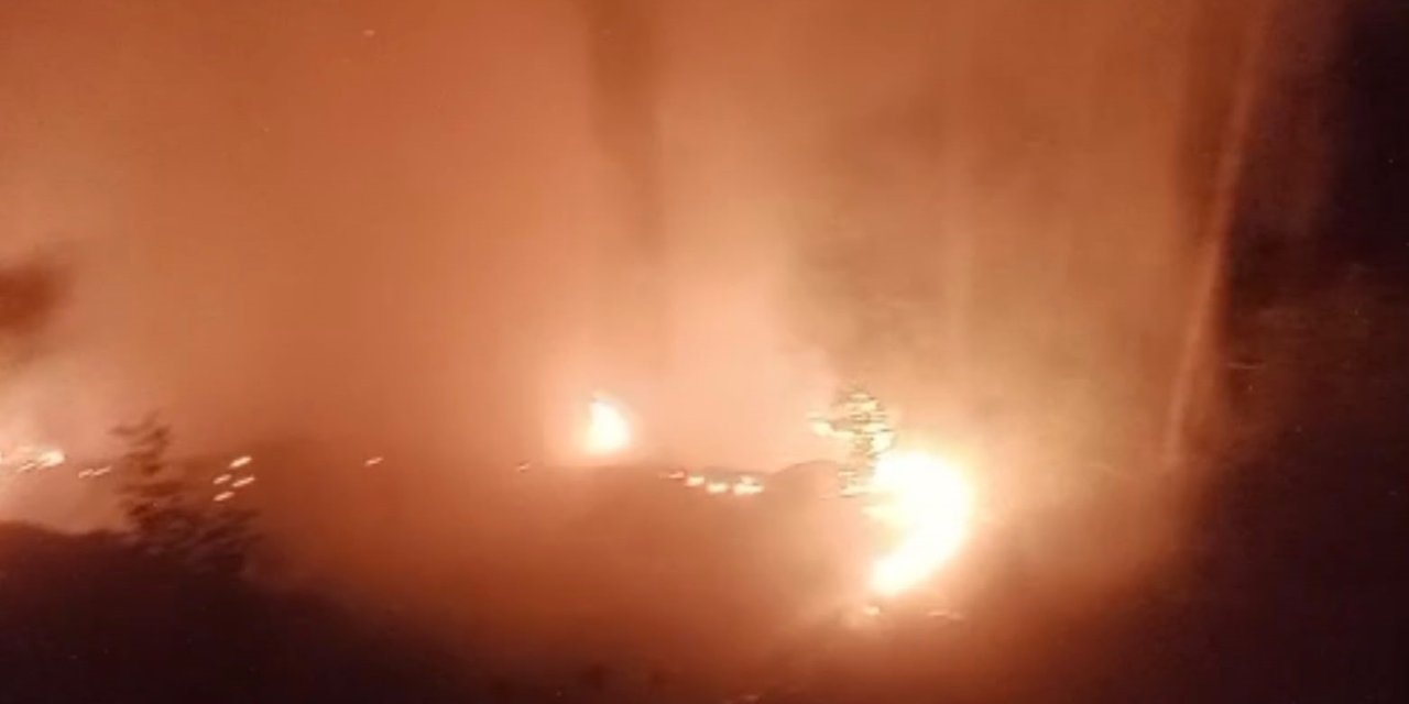 Antalya'da Alevlerle Mücadele: Alanya ve Kaş'taki Orman Yangınları Kontrol Altında!