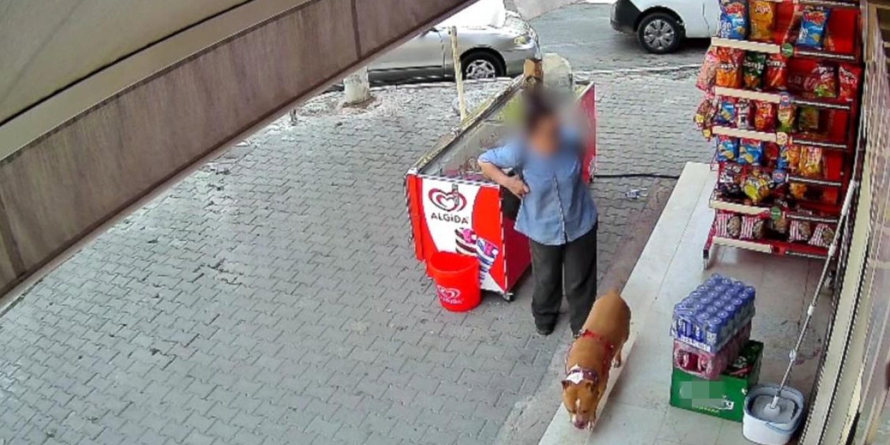 Fırın dönüşü dehşet: Pitbull saldırısında parmağından oldu