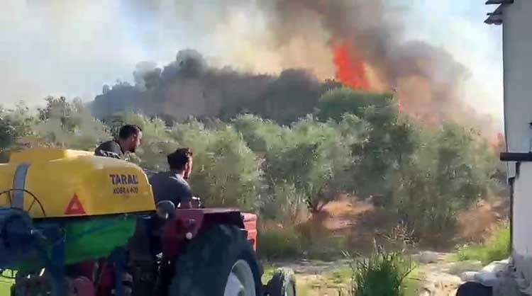 Antalya Kaş'ta Korkutan Orman Yangını: Havadan ve Karadan Dev Müdahale Başlatıldı