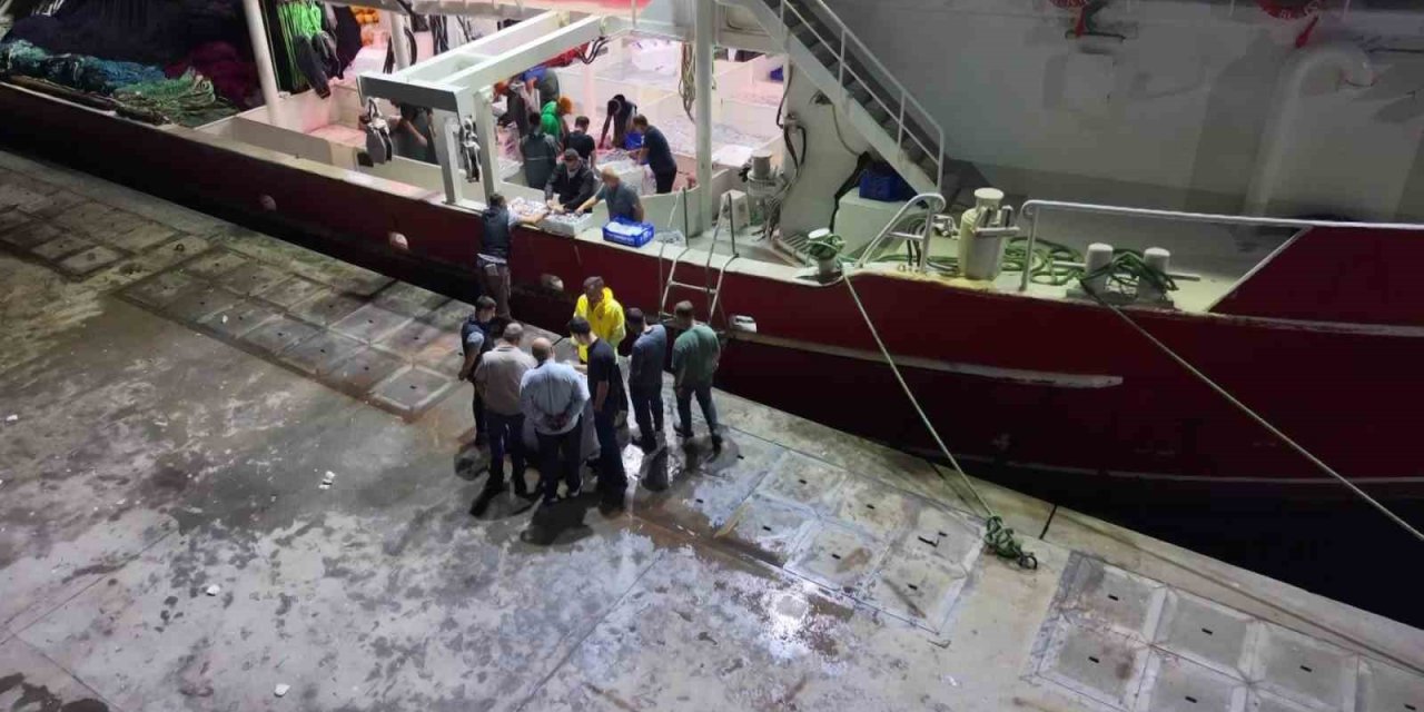 Balıkçılar "Vira Bismillah" Dedi, Sezonun İlk Müjdesi Geldi