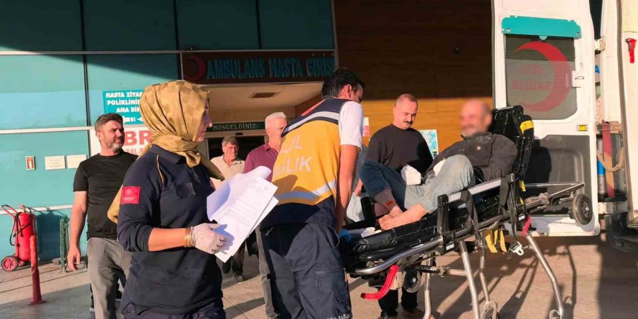 Feci Orman Kazası: Tomruk Sıkıştıran İşçinin Parmakları Koptu