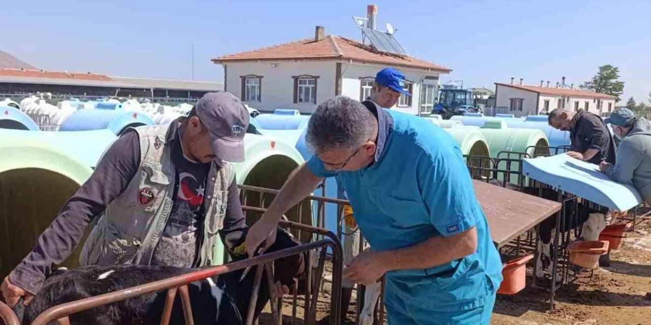 Güvenilir Hayvansal Üretim İçin Sıkı Denetim