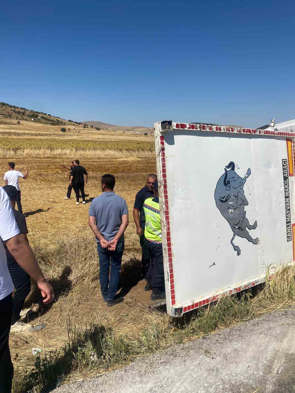 Kırşehir'de Hayvan Yüklü Tır Devrildi