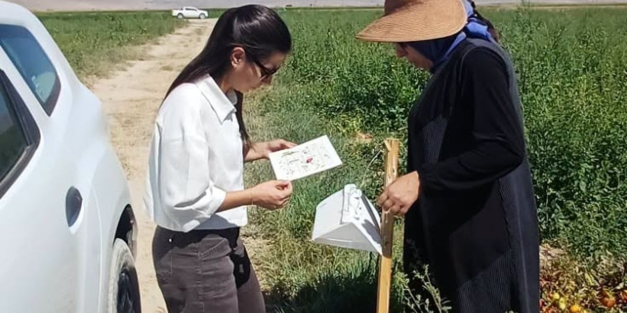 Karapınar'da Domates Tarlalarına Sıkı Takip