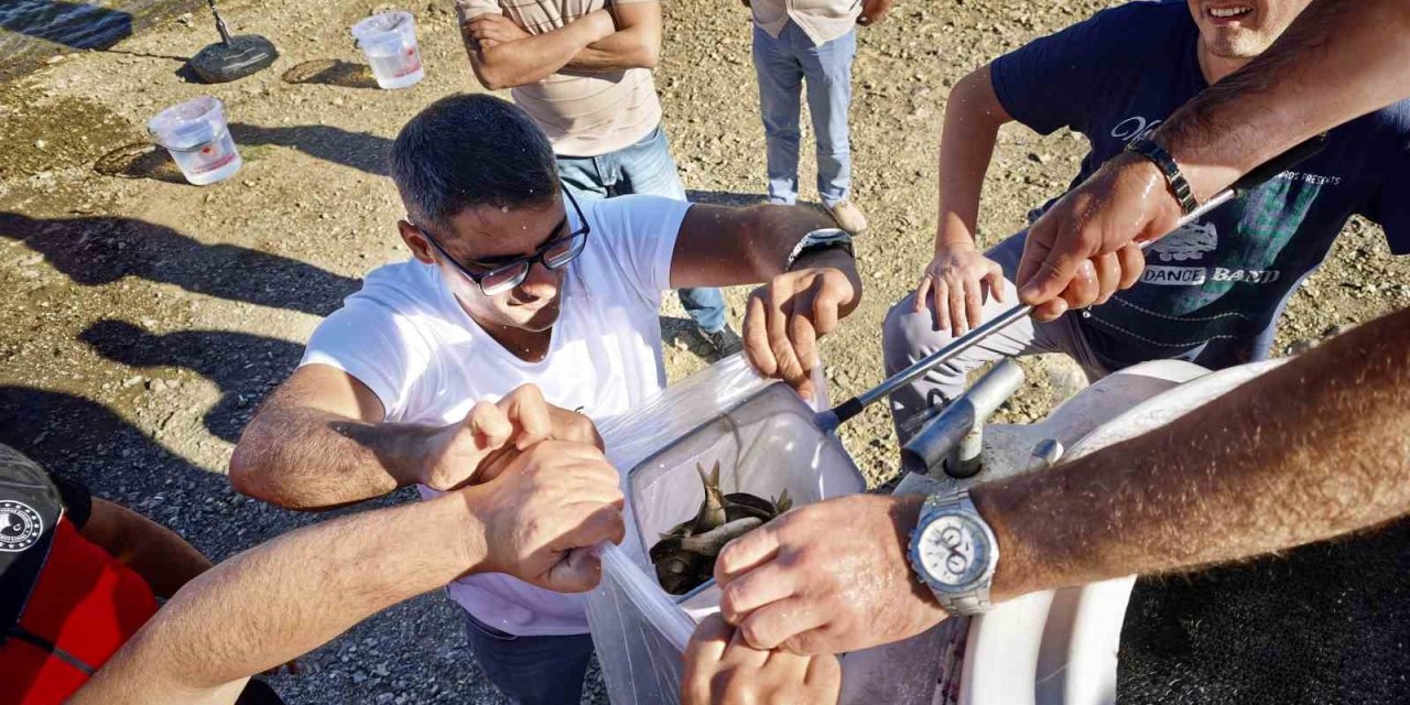 Konya'da Sular Canlanıyor: 122 Bin Yavru Balık Bırakıldı