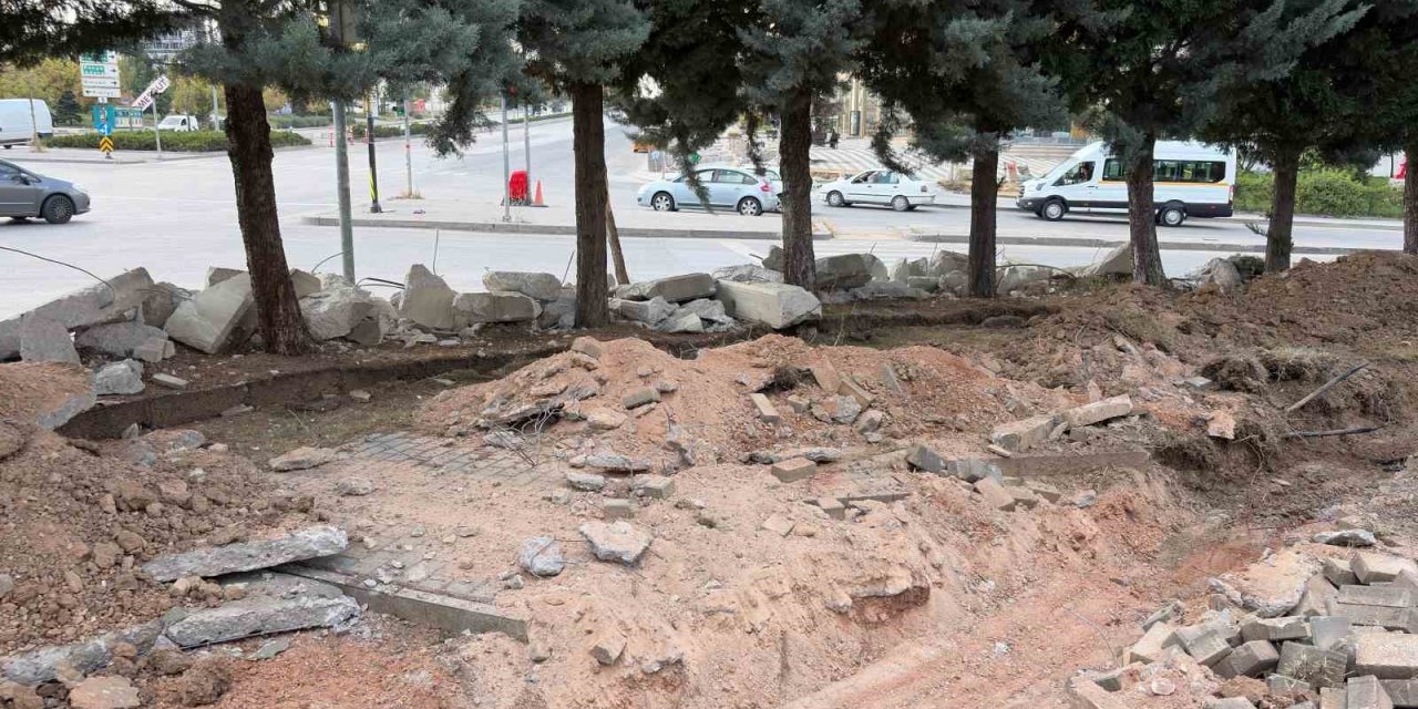 Ankara’da Ağaç Kesim Krizine Vatandaş Tepkisi