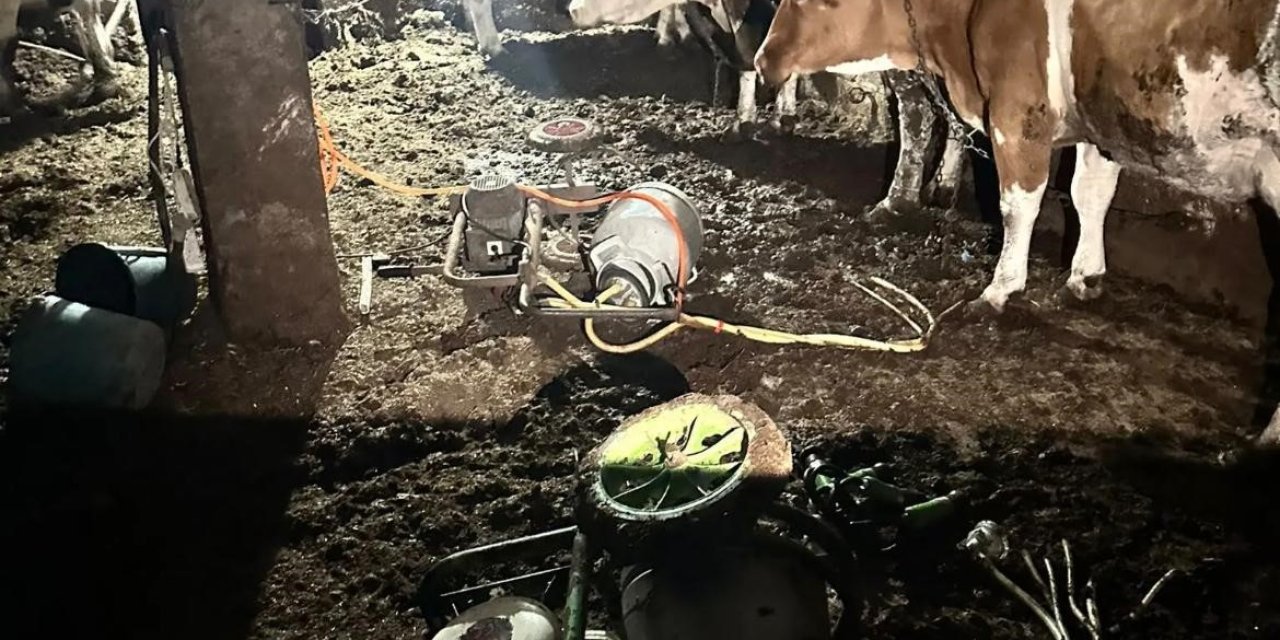 İnek sağarken akıma kapılan kadın hayatını kaybetti