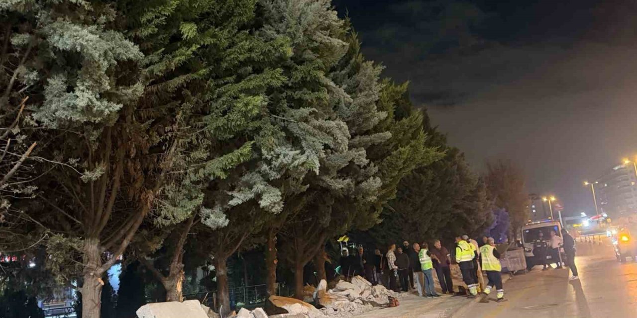 Ankara'da Gece Yarısı Ağaç Kesimi İddiası Mahalleliyi İsyan Ettirdi