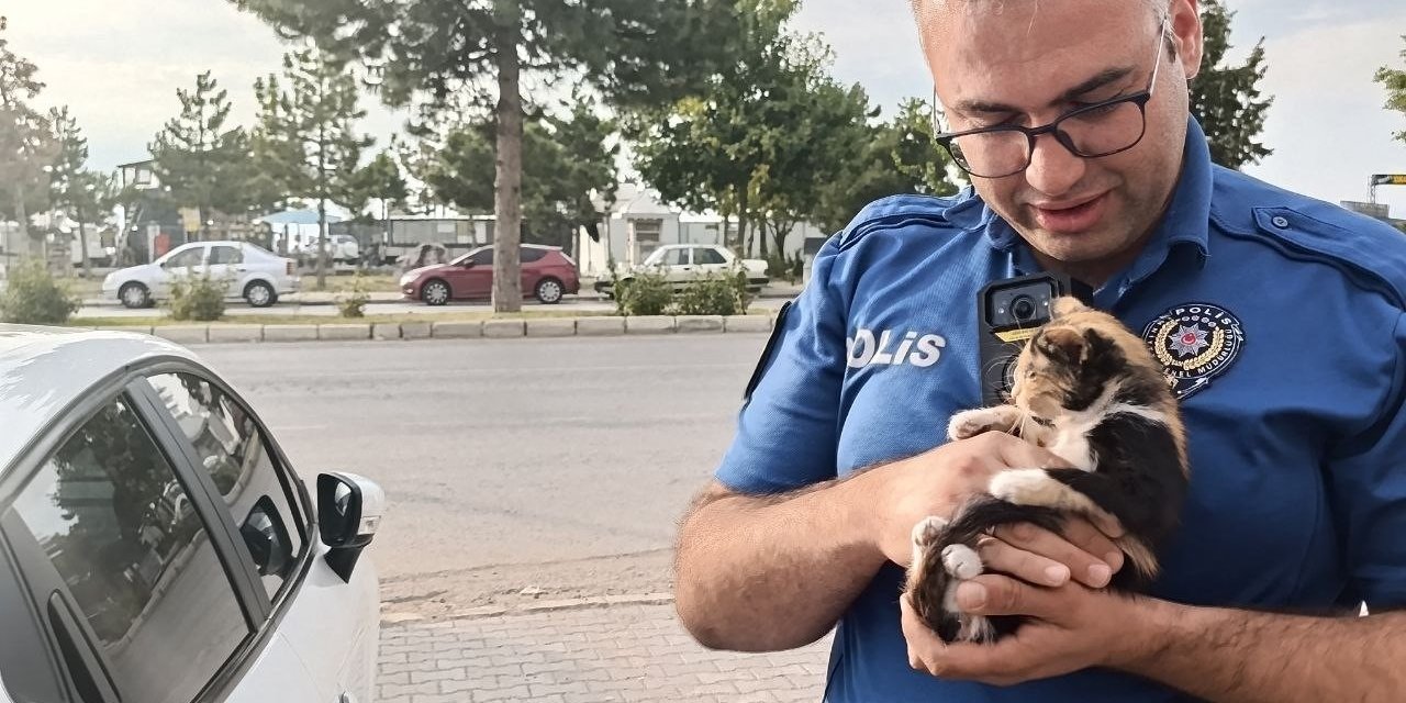 Beyşehir’de Otomobile Sıkışan Yavru Kedi İçin Seferberlik: Polisler Sahiplendi