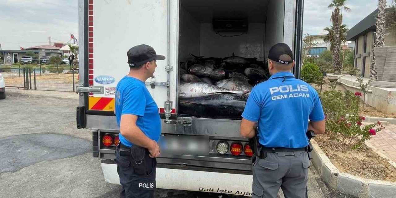 Kaçak avlanan 3 ton balık ele geçirildi