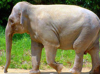 Bu soru YGS'de soruldu