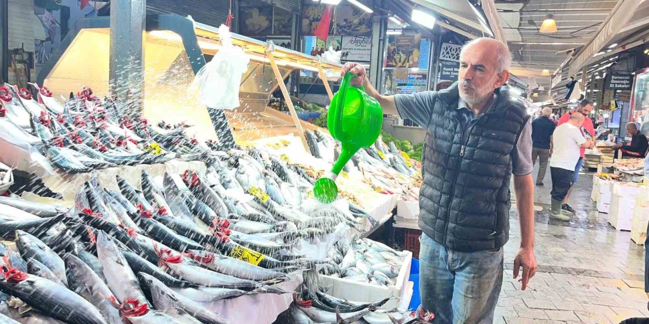 Kırmızı Ete Alternatif Geldi: Ucuz Palamut Bolluğu