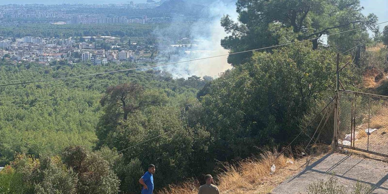 Antalya Santral Mahallesi'nde Orman Yangını
