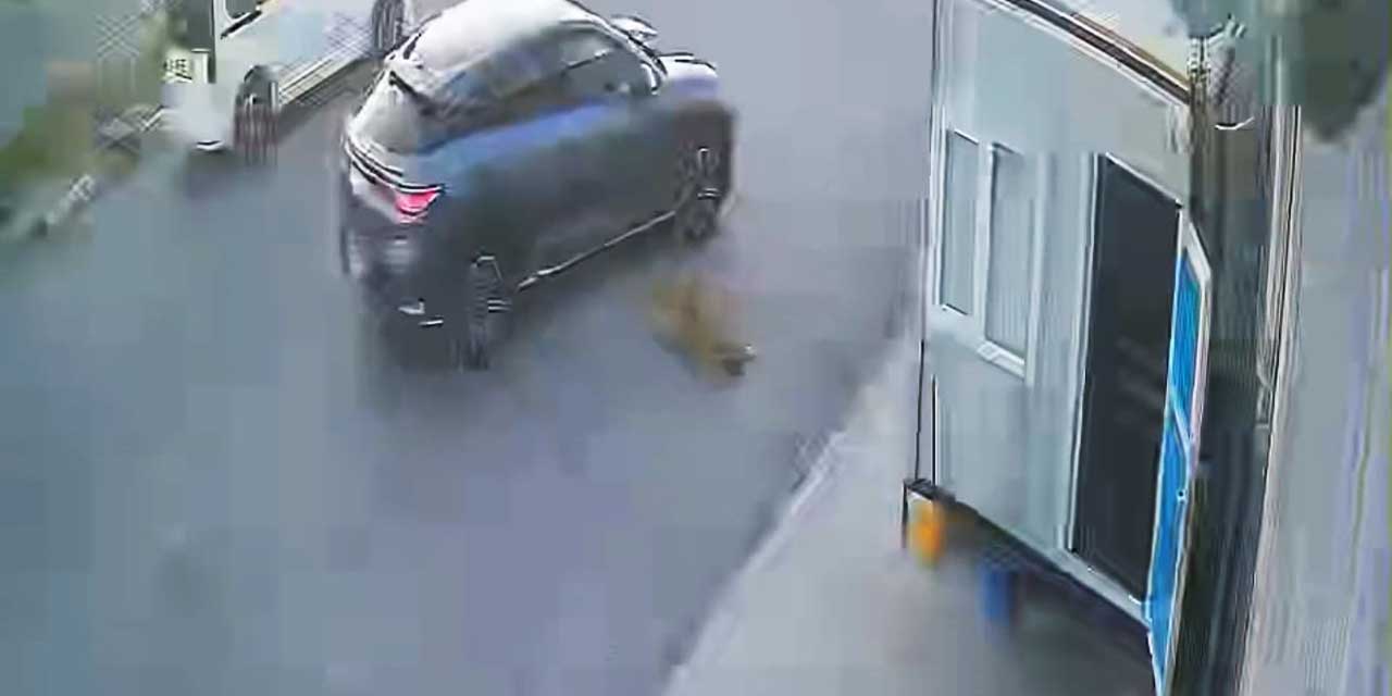 Afyon'da görenlerin içini sızlatan görüntü