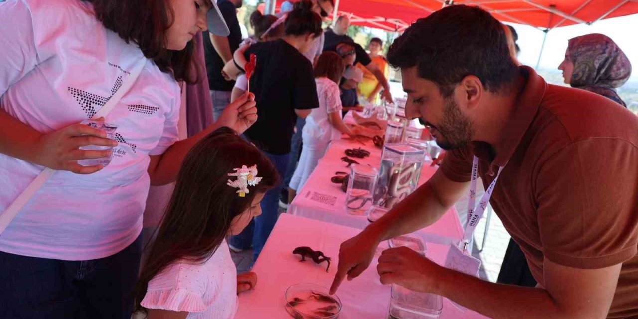 Korkuyla yaklaşıyorlar, ayrılmak istemiyorlar