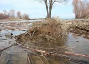 Beyşehir Gölü de kirlendi